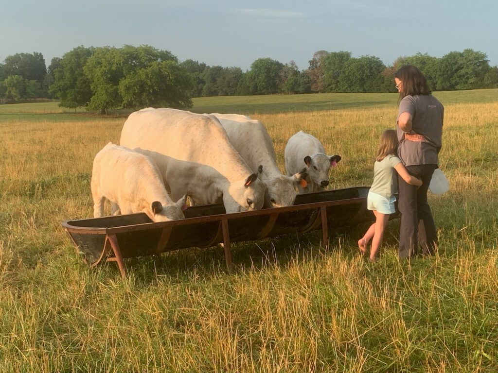 Beaty with her child and cows
