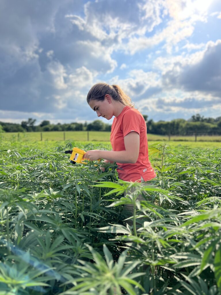 Rachel Hefton studying a hemp plant