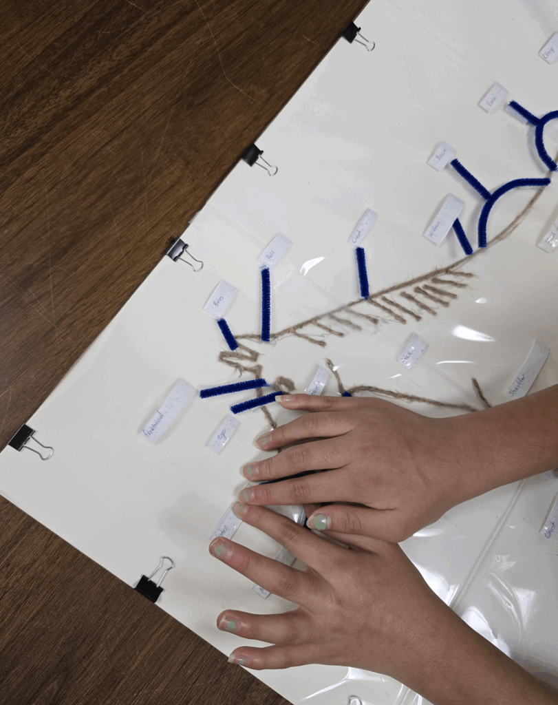 a hand reading braille on a horse image