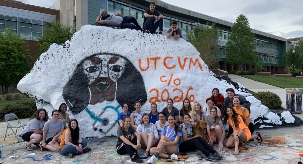 Katherine Lopez and other UTCVM students pose with "The Rock," painted with the message "UTCVM Class of 2026" on UT Knoxville's campus.
