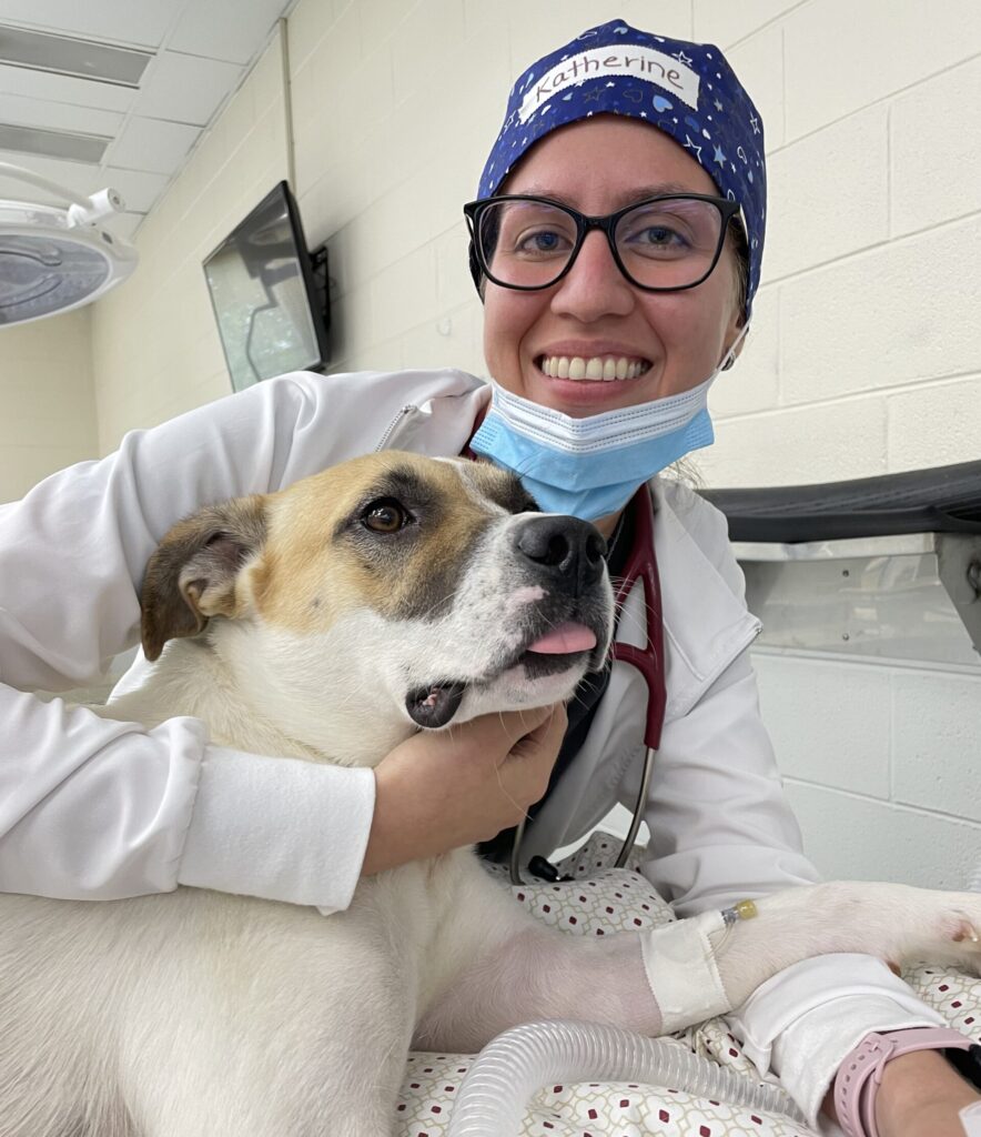 Katherine Lopez smiling with a dog on an exam table.