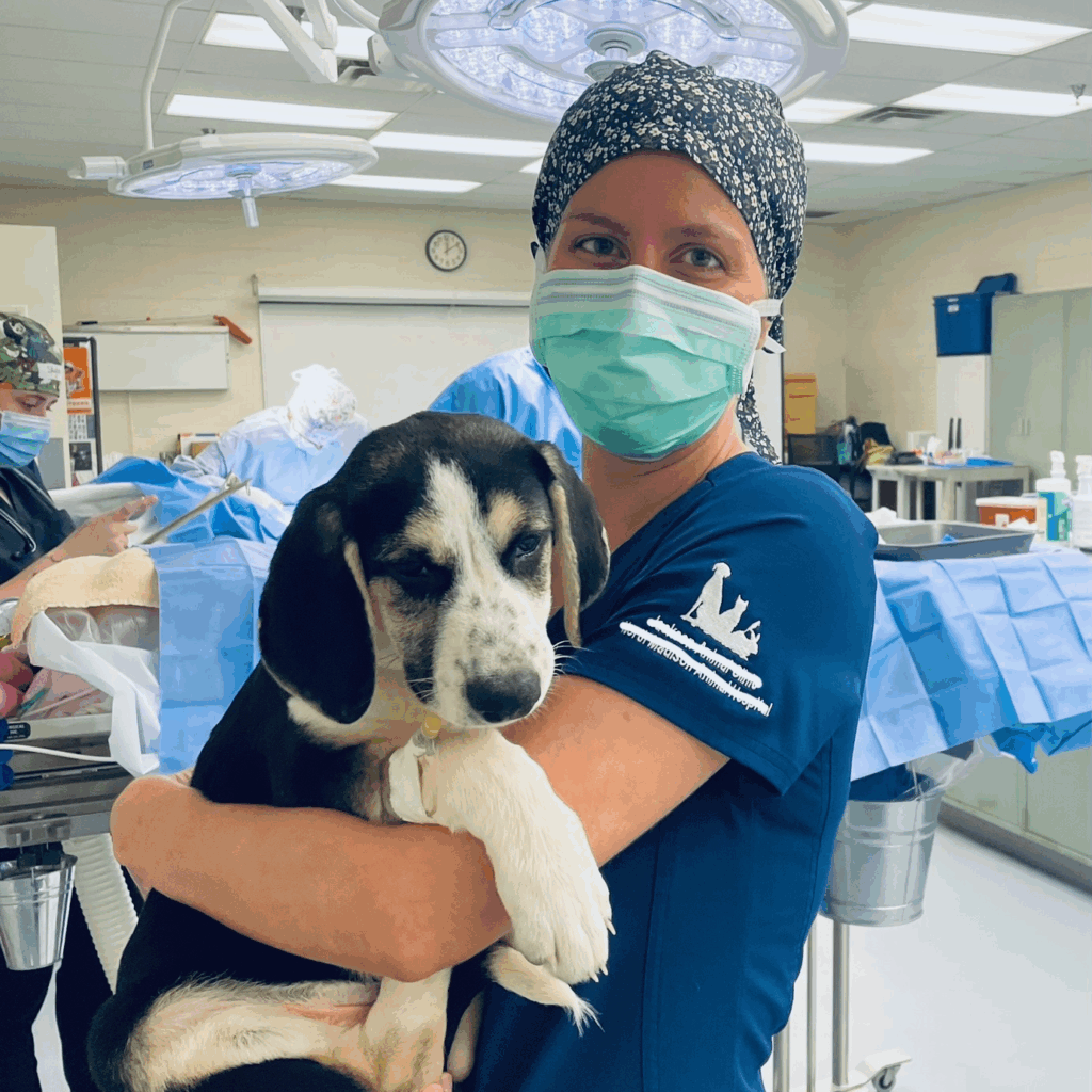 Katherine Lopez wearing scrubs and a mask while holding a puppy in a veterinary clinic setting.