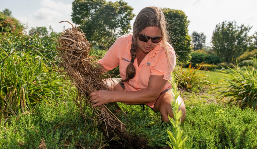 Shalena Durkot kneeling in a garden, holding a large bundle of roots.
