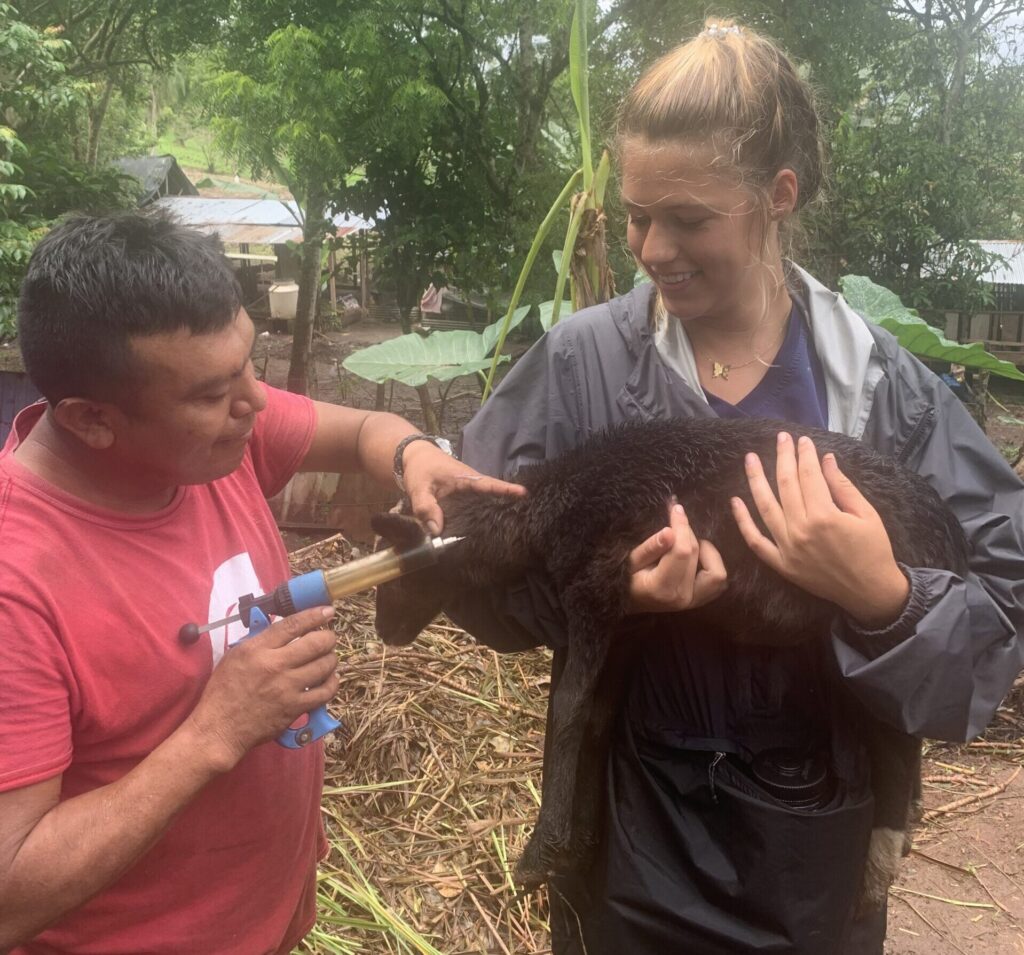 Mason Dunlap holds a small black sheep while another individual tends to the sheep using a tool. The setting is outdoors with trees and foliage in the background.