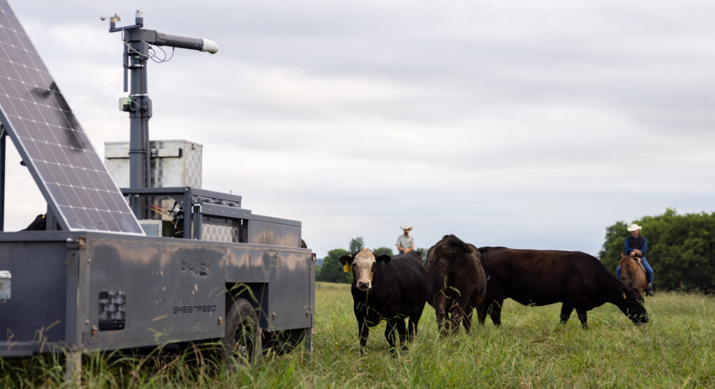 A pasture scene with several cows grazing in a grassy field. A solar-powered device is positioned on the left. In the background, two people on horseback observe the cows.