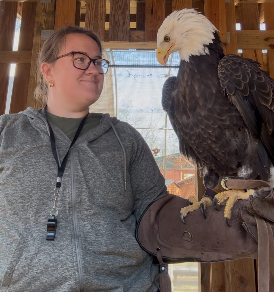 Haley Williamson smiles at an eagle resting on her arm.