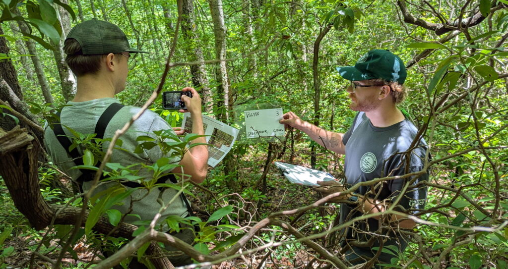 Two people in a forested area are examining a small informative sign. One holds a map and a smartphone, while the other holds a clipboard. Lush green foliage surrounds them.
