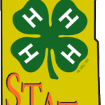 4-H Vol State