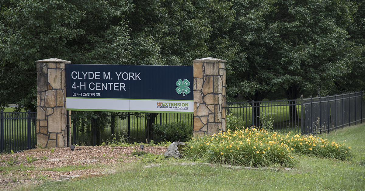 Clyde M York 4-H Camp