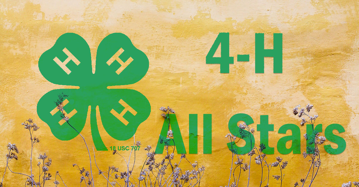 4-H All Stars