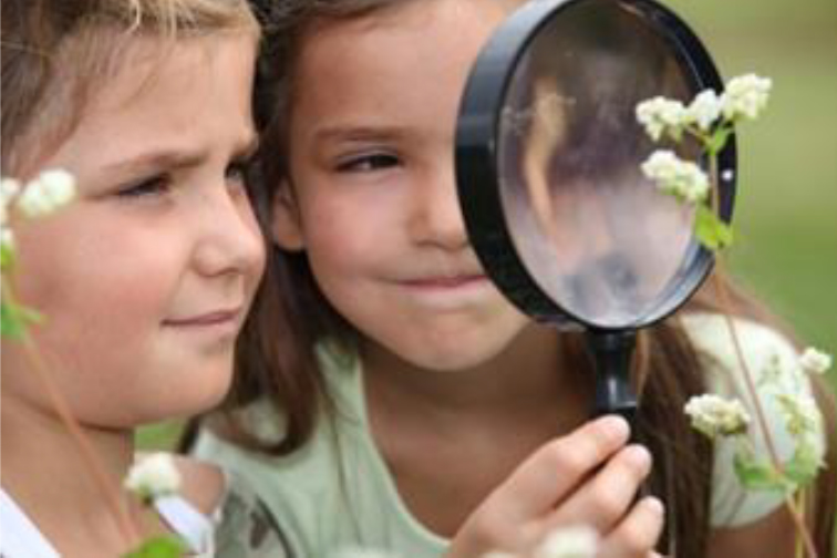 Best Practices in Instruction