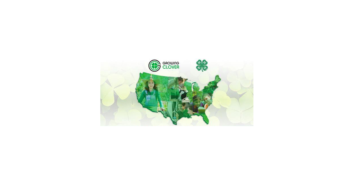 Growing Clover
