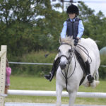 Horse Jumping