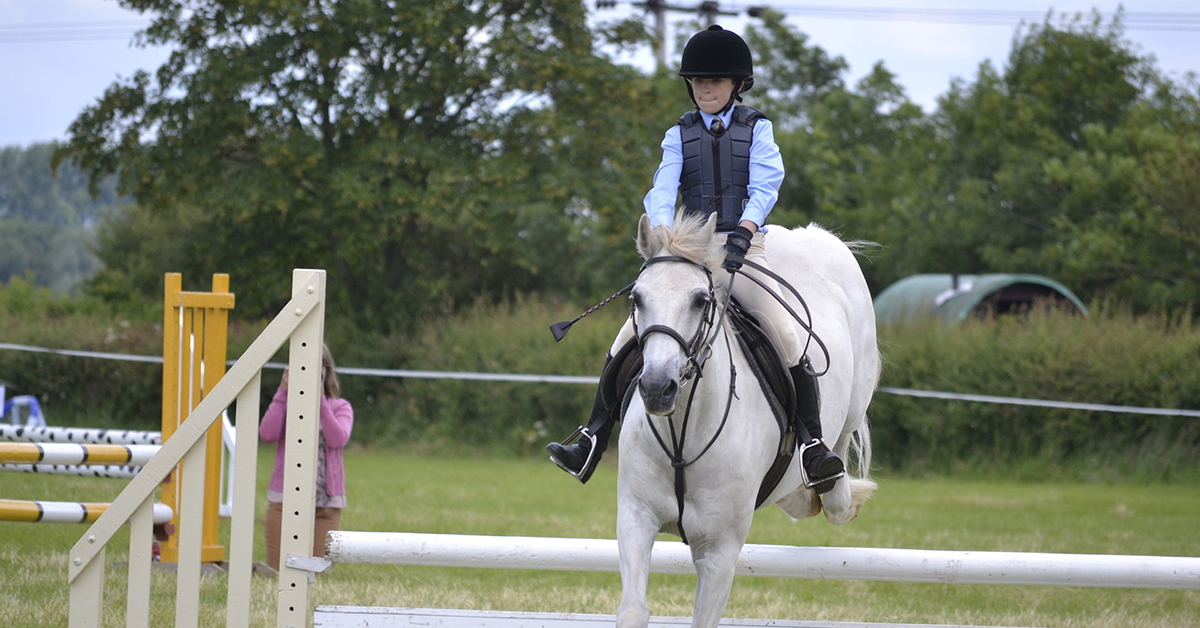 Horse Jumping