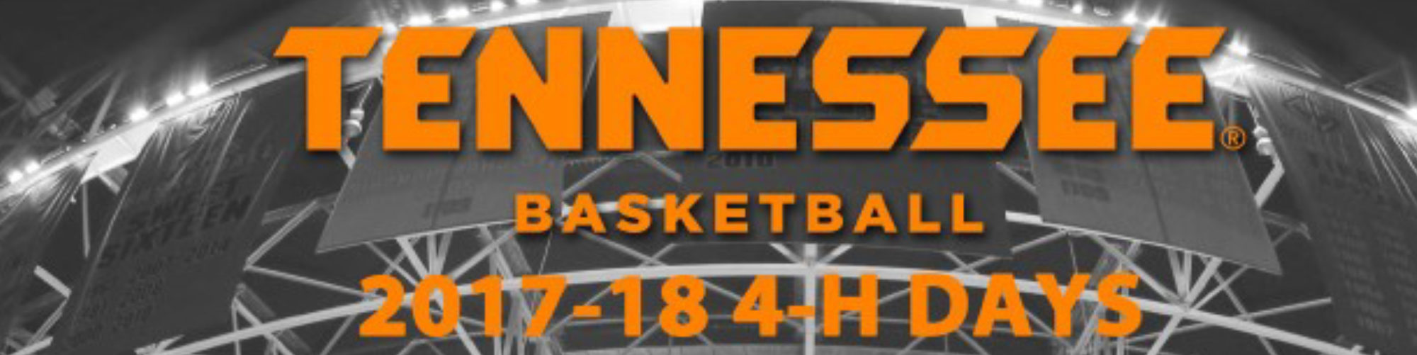 Tennessee Basketball 4-H Days