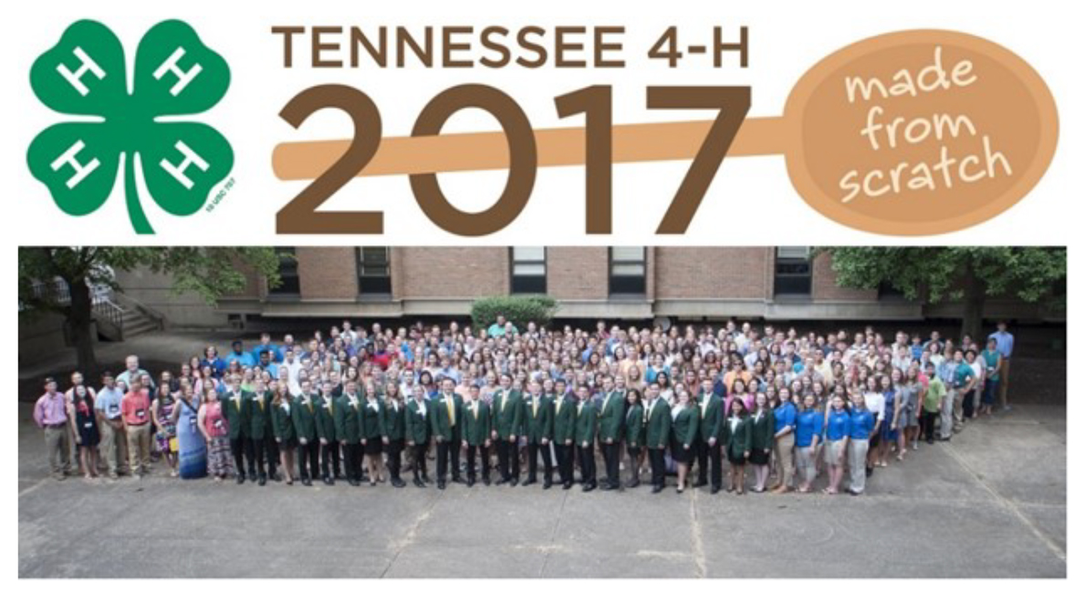 4-H Roundup: Showcasing Excellence