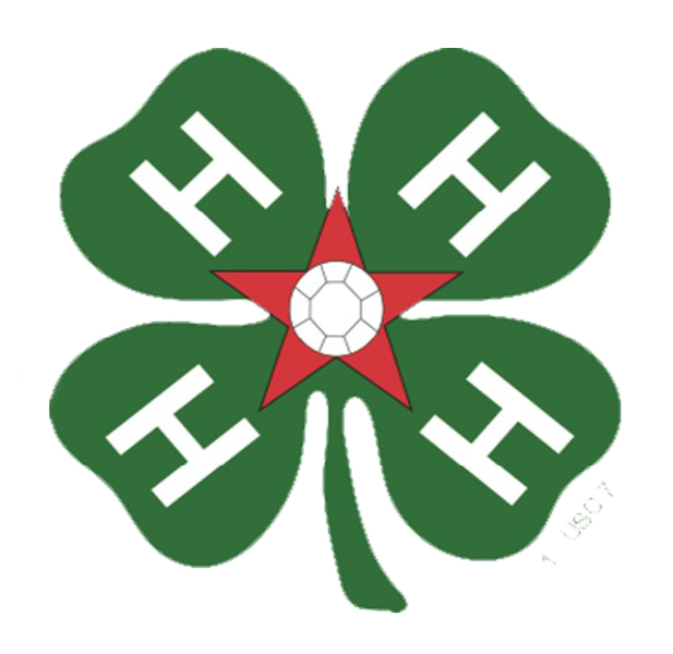 4-H All Star Exhibits