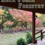 Back Porch Forestry - David Mercker Extension Forester - UT Extension Institute of Agriculture