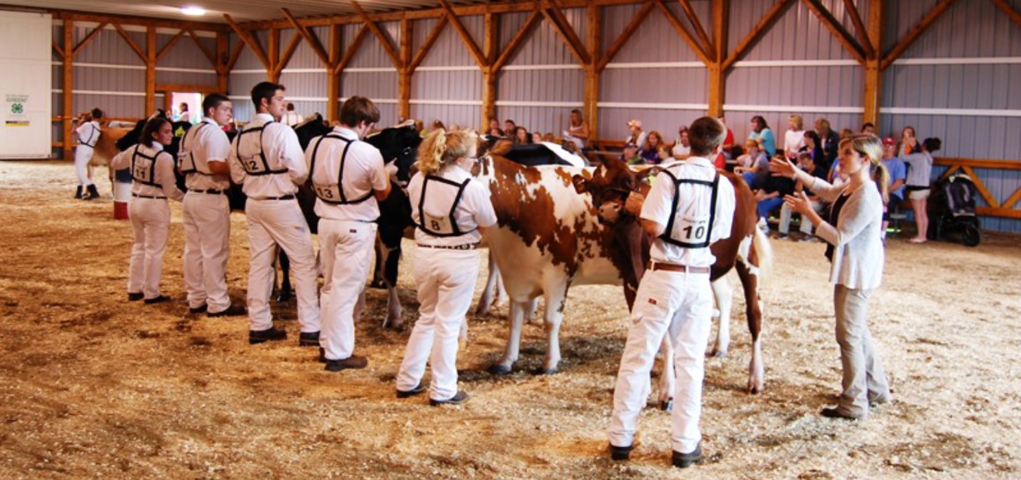 State 4-H Dairy Show
