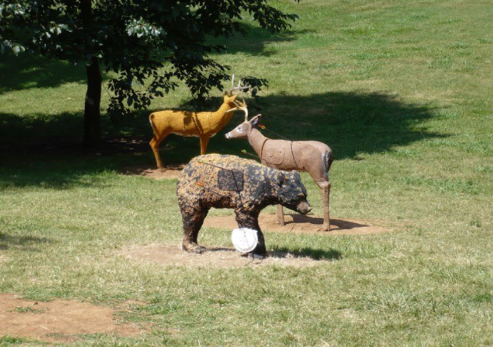 Target Smart Camp: July 4-7 at Ridley in Columbia - Clay Deer and Bear Shooting Targets