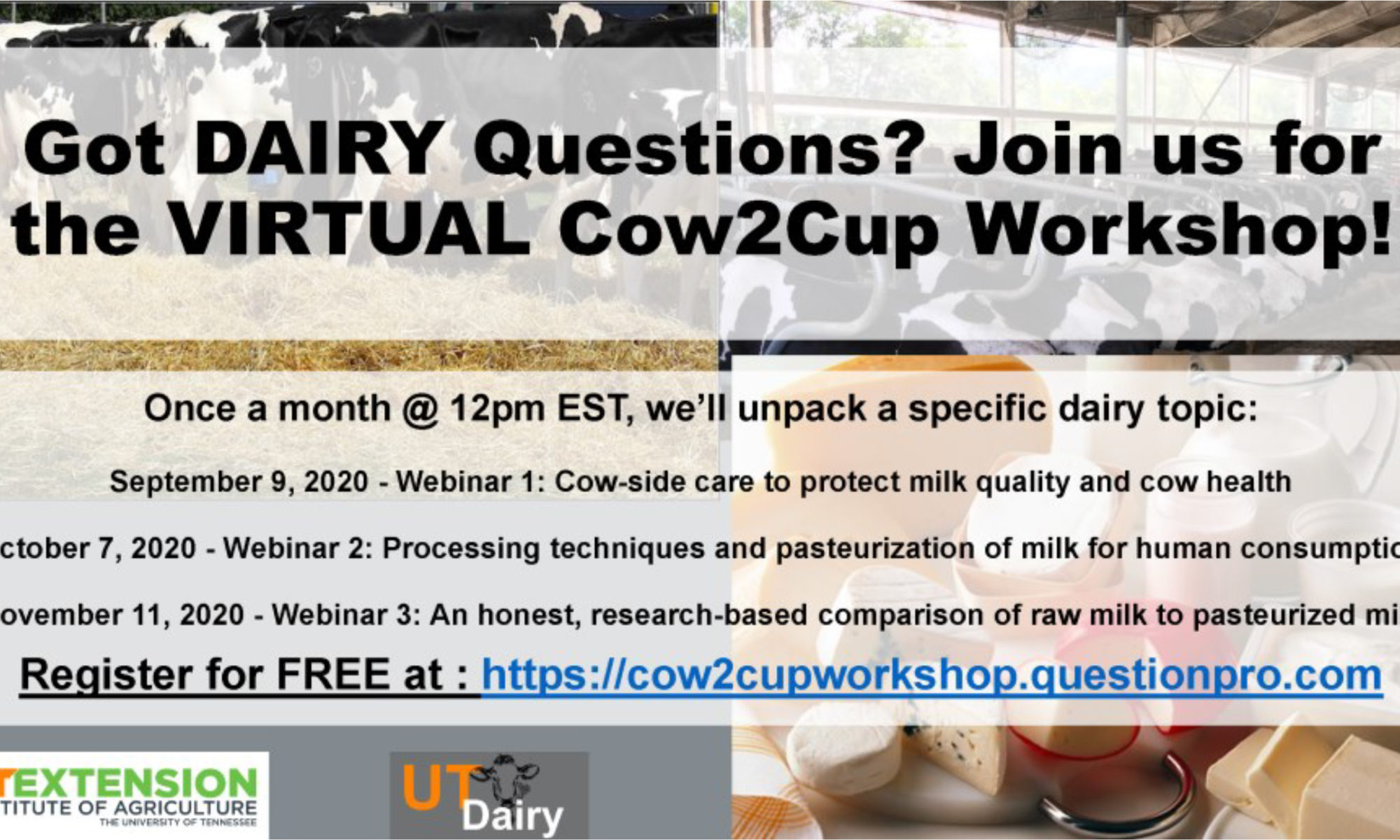 Got DAIRY Questions? Join us for the Virtual Cow2Cup Workshop! Once a month @ 12 PM EST, we’ll unpack a specific dairy topic: September 2, 2020 – Webinar 1: Cow-side care to protect milk quality and cow heath October 7, 2020 – Webinar 2: Processing techniques and pasteurization of milk for human consumption November 11, 2020 – Webinar 3: An honest, research-based comparison of raw milk to pasteurized milk. Register for FREE at: https://cow2cupworkshop.questionpro.com