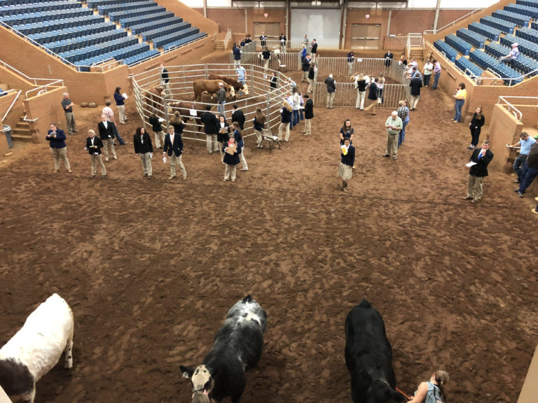 Students competing at round up