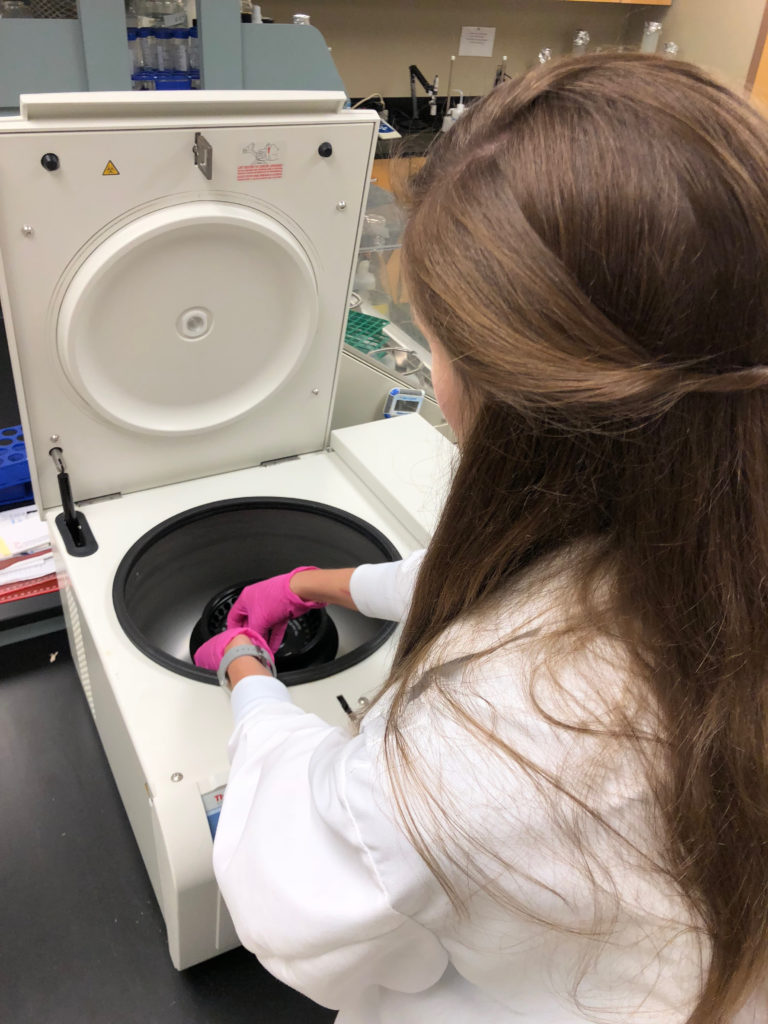student working in the lab