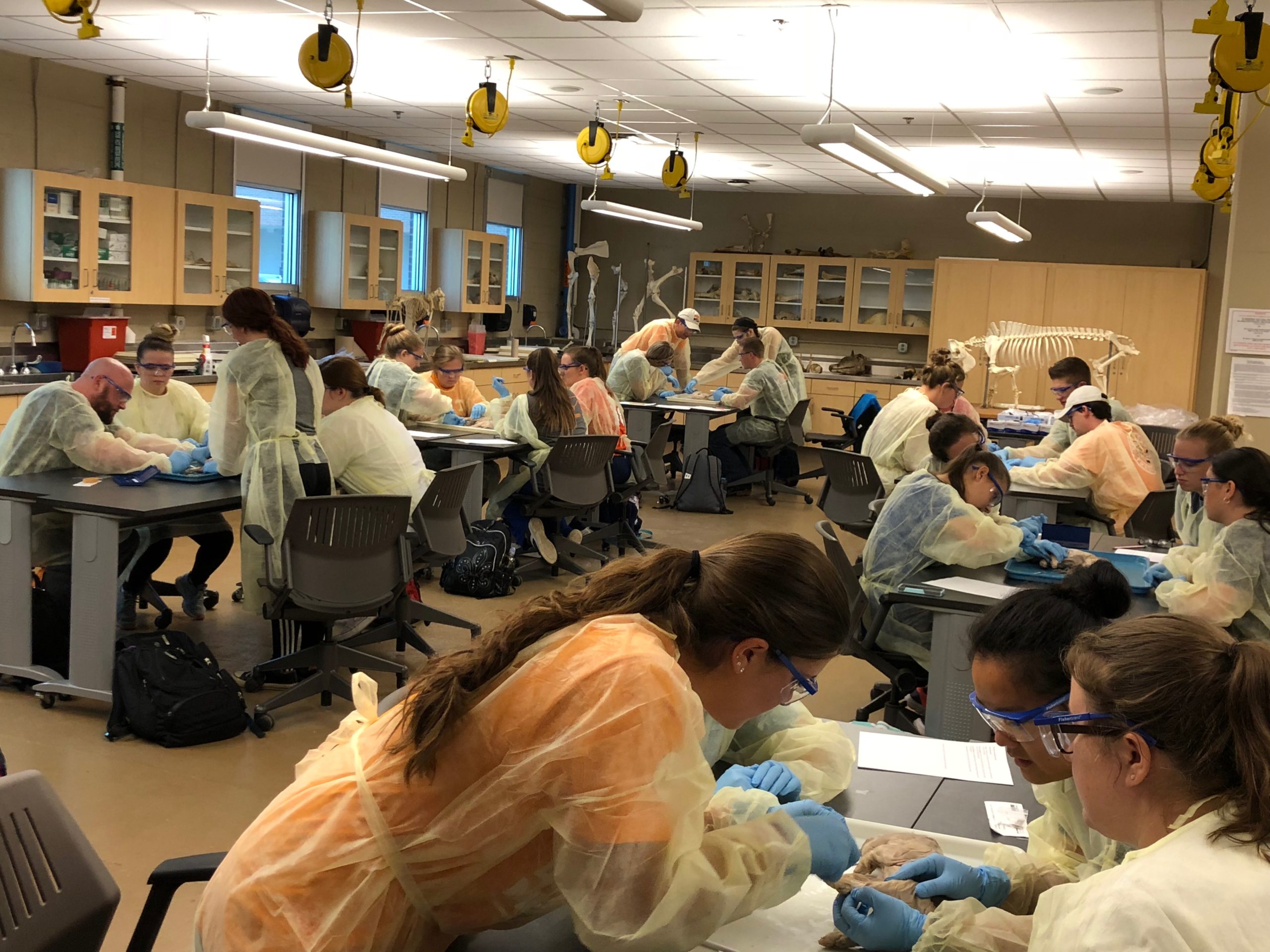 Degree Options Department of Animal Science