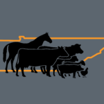 Animal Science Logo
