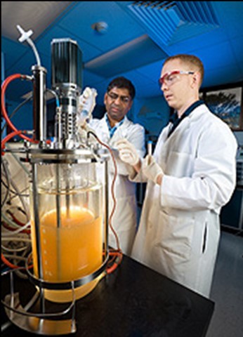 Scientists looking at equipment
