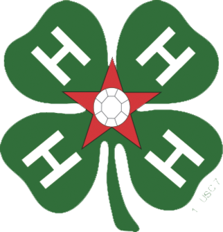 4H All Stars Logo