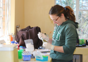 A researcher evaluates blood samples from a communal dog in Zimbabwe.