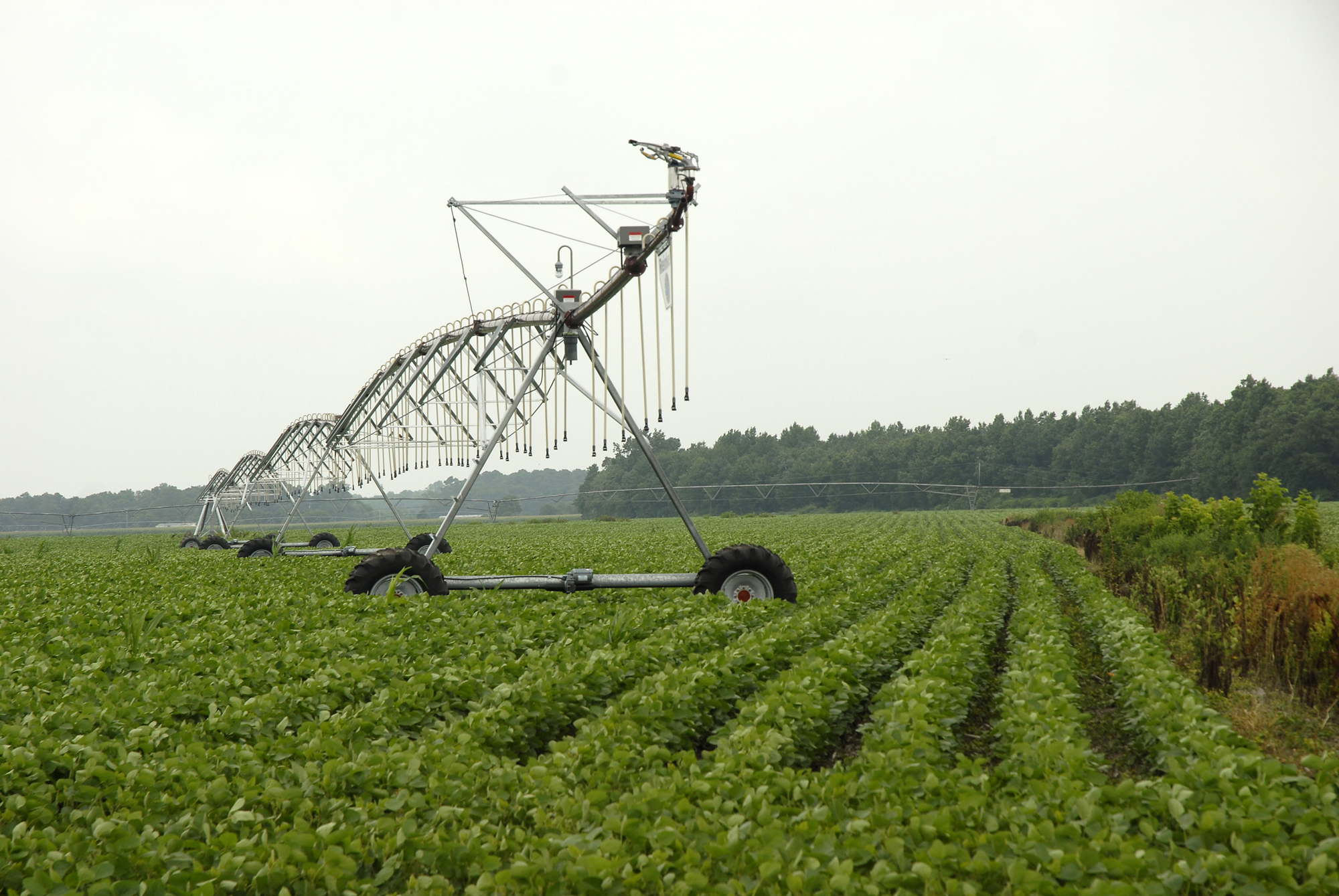Crop Production Systems Agriculture and Natural Resources