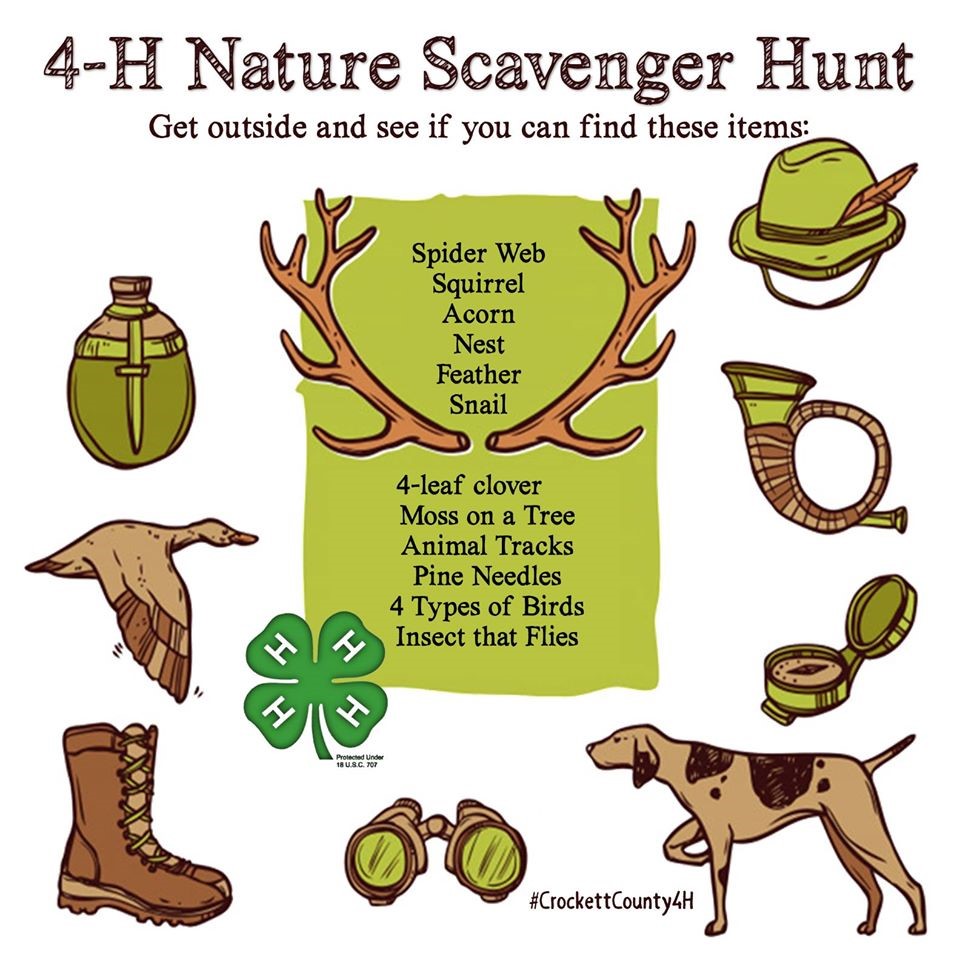 4-H Nature Scavenger Hunt