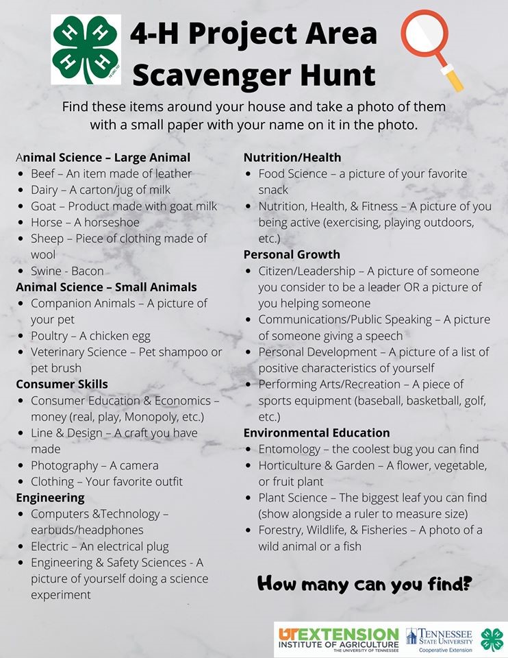 4-H Project Scavenger Hunt