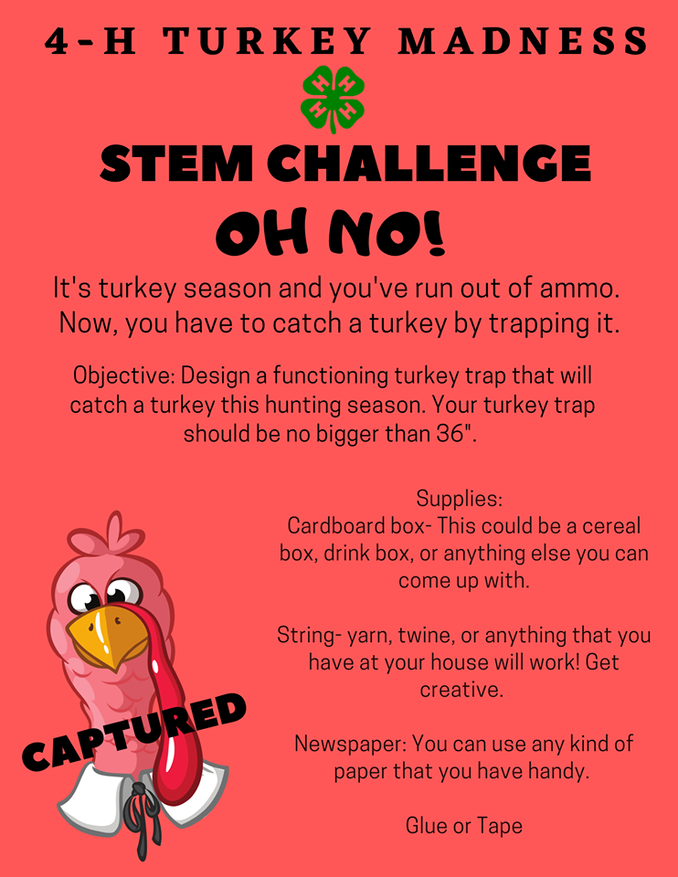 4-H Turkey Madness