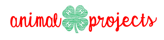 4-H Animal Projects Banner