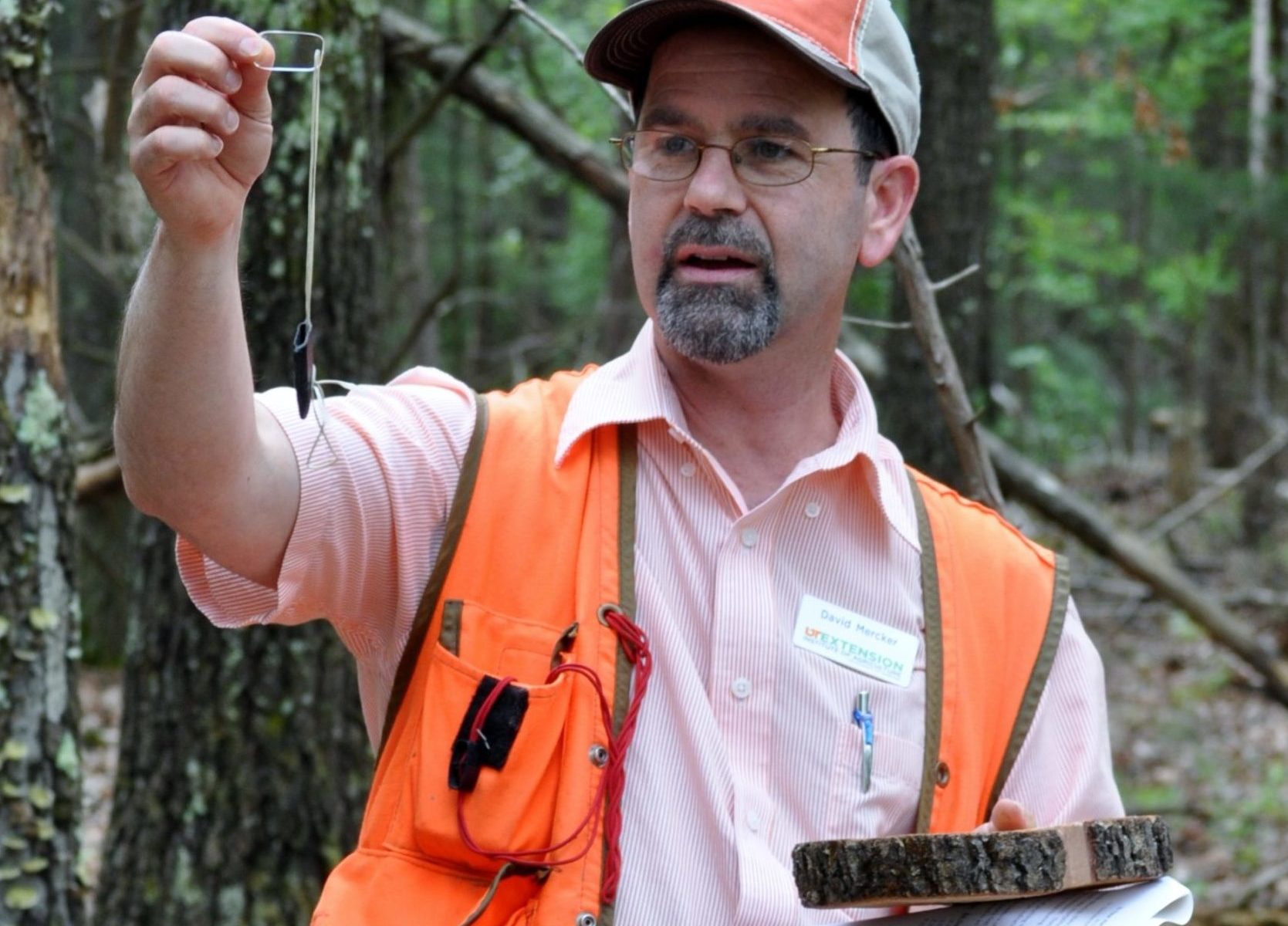 Picture of David Mercker examining a tree