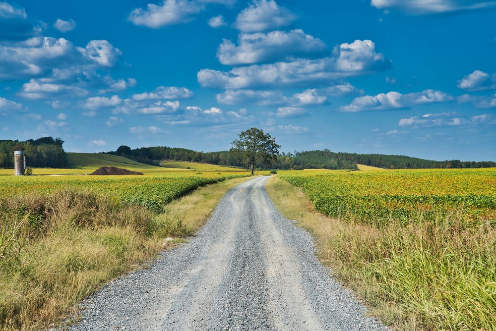 Lonely rural road