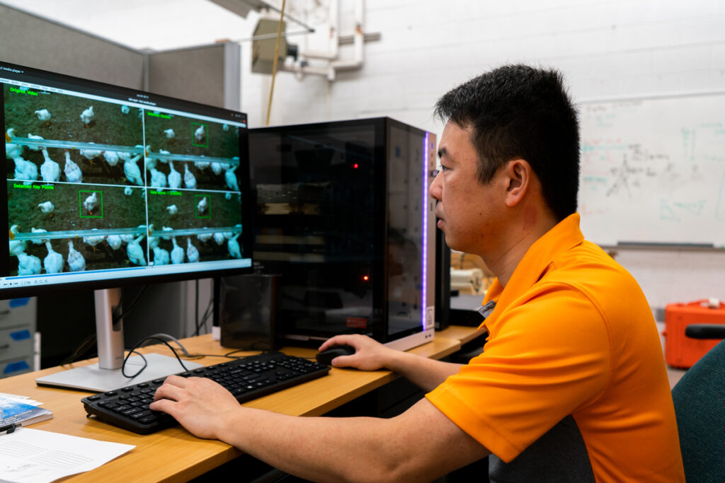 Hao Gan at a computer analyzing animals