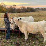 Samantha Beaty with her cows