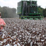 Blake Brown standing in a field of cotton