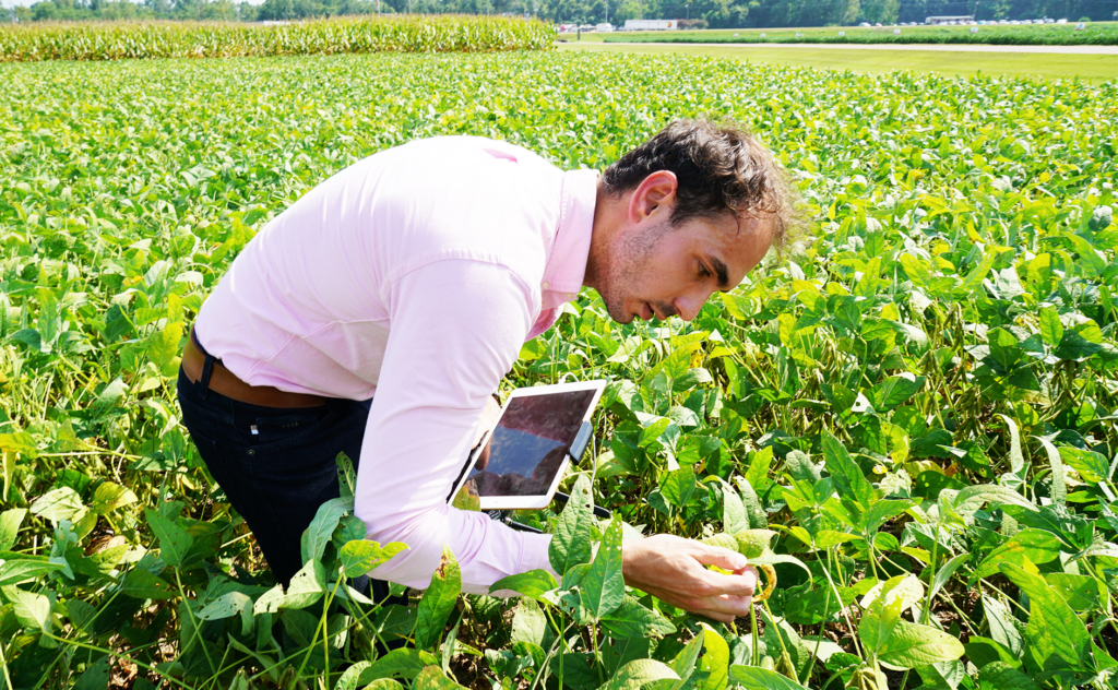 Elias holding an iPad while studying a crop