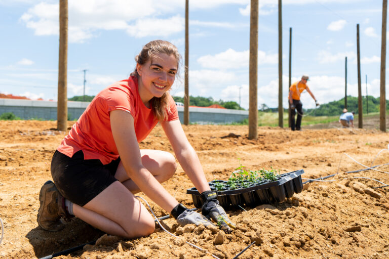 Rachel Hefton planting hops at the UT Hopyard