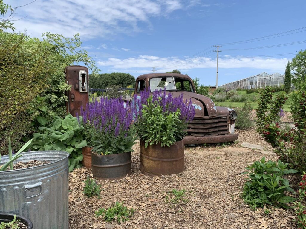 Old blue truck in the UT Gardens, Knoxville