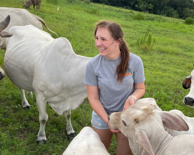 Selina with cattle on a farm