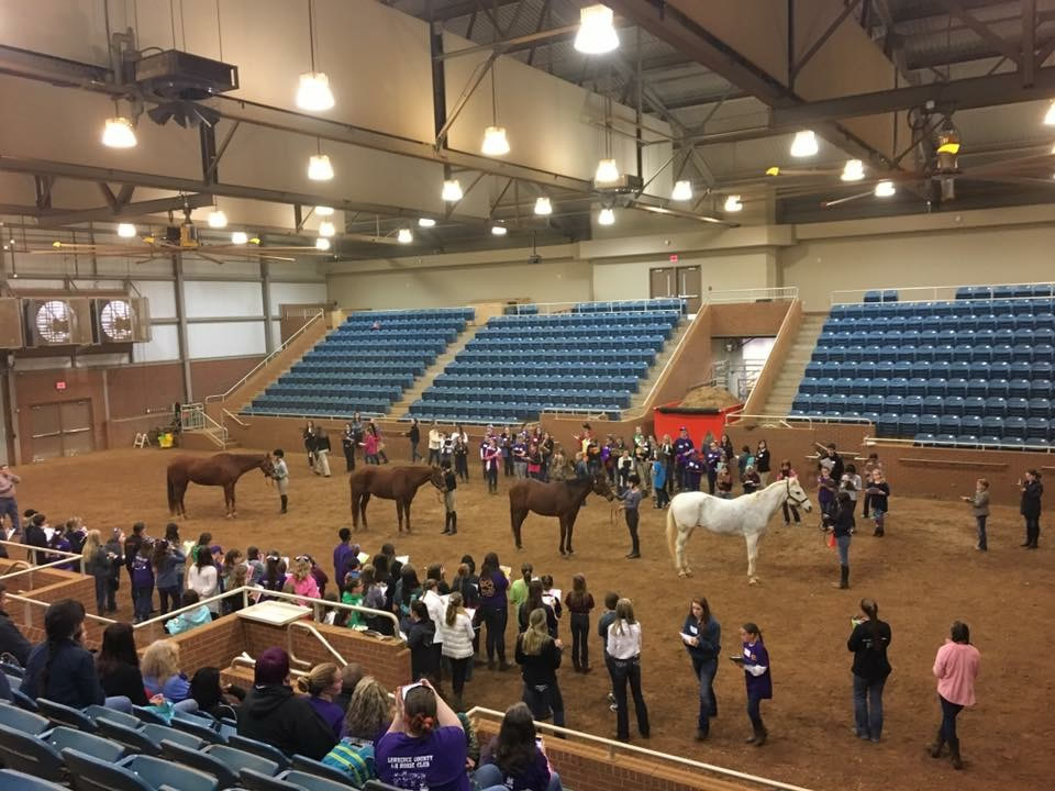 Items concerning Horse Judging