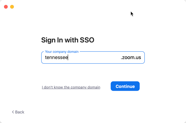 A screen capture showing the correct text to enter to sign in with SSO