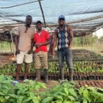 Three young men stand between rows of plants being grown in a nursery