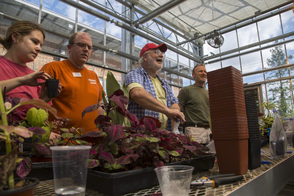 A group of veterans propagating plants